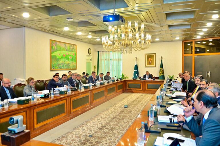 DPM/FM Mohammad Ishaq Dar chairing a Cabinet Committee on Privatization meeting in Islamabad