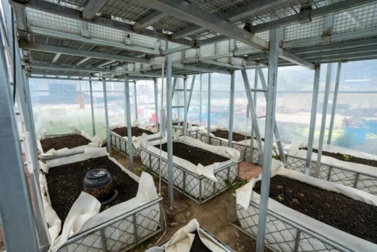 Professor helps high-altitude communities grow fresh vegetables year-round