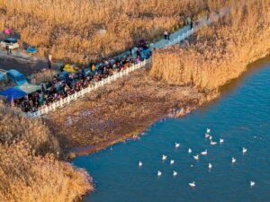 Lanzhou uses acoustic technology to monitor, protect birdlife
