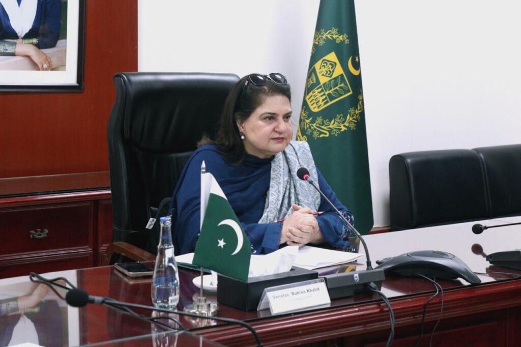 Rubina Khalid calls for protection of mother languages to promote inclusion and national unity
