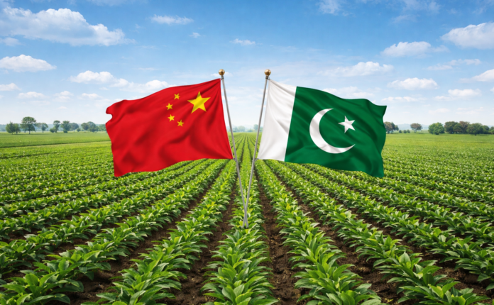 Pak–China Innovation Agriculture Cooperation Centre inaugurated at Kasur Farms, Punjab