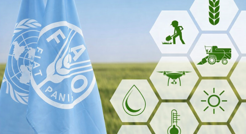 FAO of the United Nations announces a national agriculture investment summit in Islamabad on February 3.