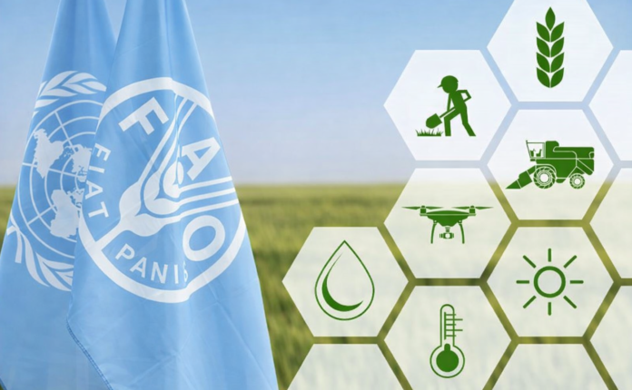 FAO of the United Nations announces a national agriculture investment summit in Islamabad on February 3.