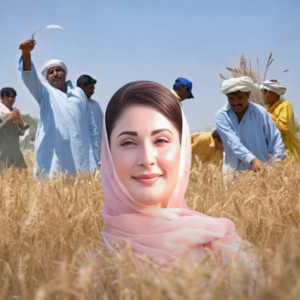Punjab announces Wheat Policy 2026 with wheat price set at Rs3,500 per maund