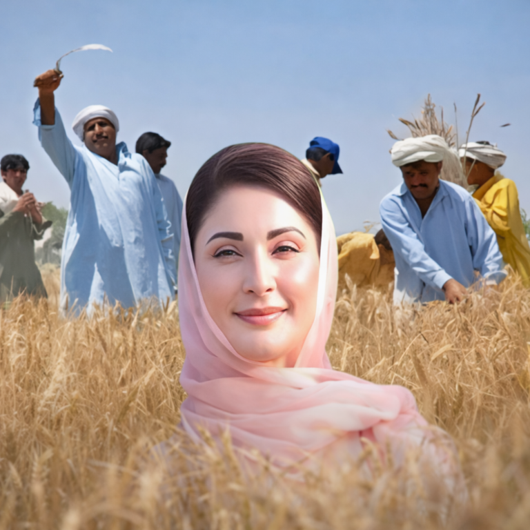 Punjab announces Wheat Policy 2026 with wheat price set at Rs3,500 per maund