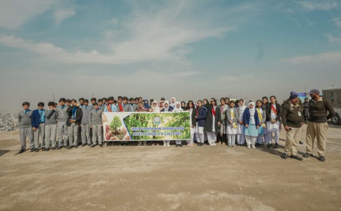 Participants plant saplings during the Margalla Hills plantation campaign launched in Islamabad.