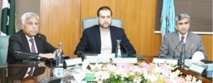 Punjab to Launch 2-Marla Rooftop Hydroponic Project for Urban Farming