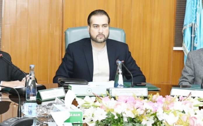 Punjab to Launch 2-Marla Rooftop Hydroponic Project for Urban Farming