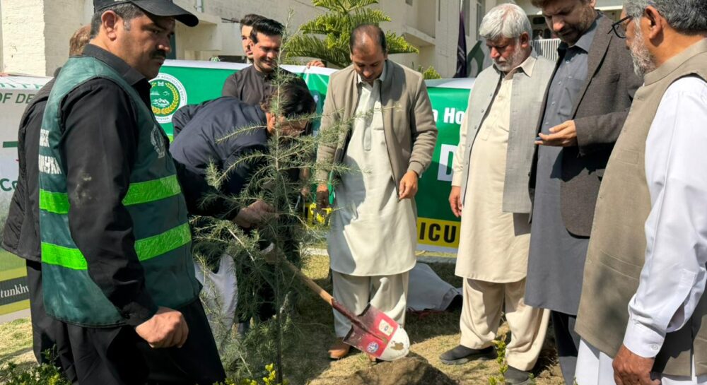 Plantation drive held at University of Agriculture Swat to promote afforestation
