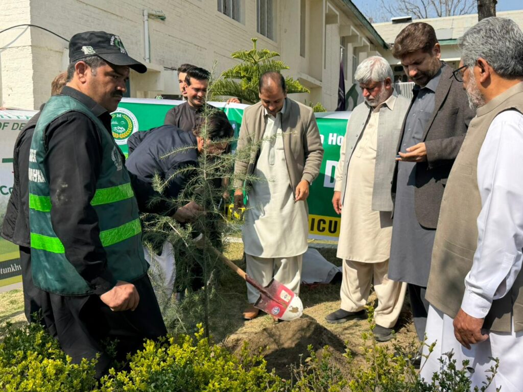 Plantation drive held at University of Agriculture Swat to promote afforestation