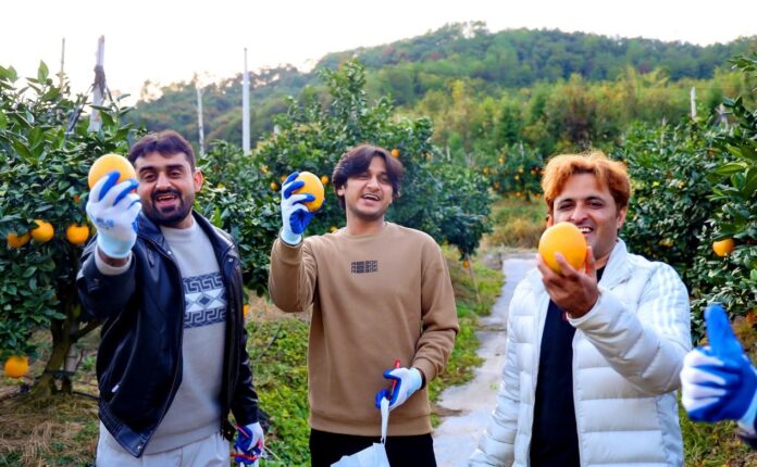 Understanding China requires both historical and developmental perspectives