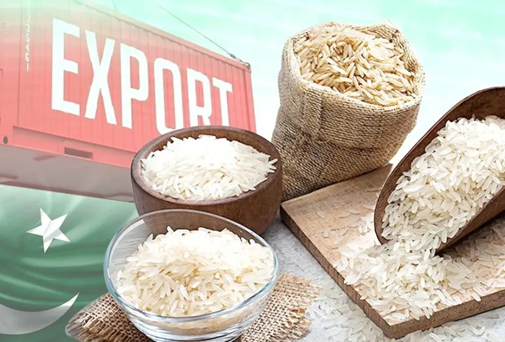 REAP delegation meets Chinese consul general to discuss expanding rice exports
