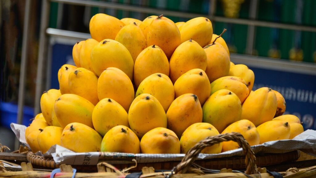 Mango production at risk amid concerns over Indus Waters Treaty compliance