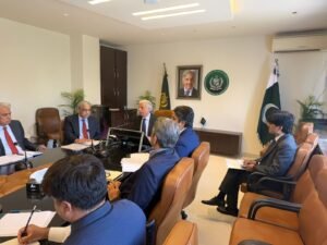 Government explores alternative routes, subsidies to protect Pakistan’s potato exports