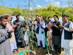 Ehsas-e-Shajar plantation drive held at University of Swat under KP tree campaign