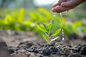 Mardan launches ‘Ehsaas Tree Plantation Campaign’ to boost environmental protection