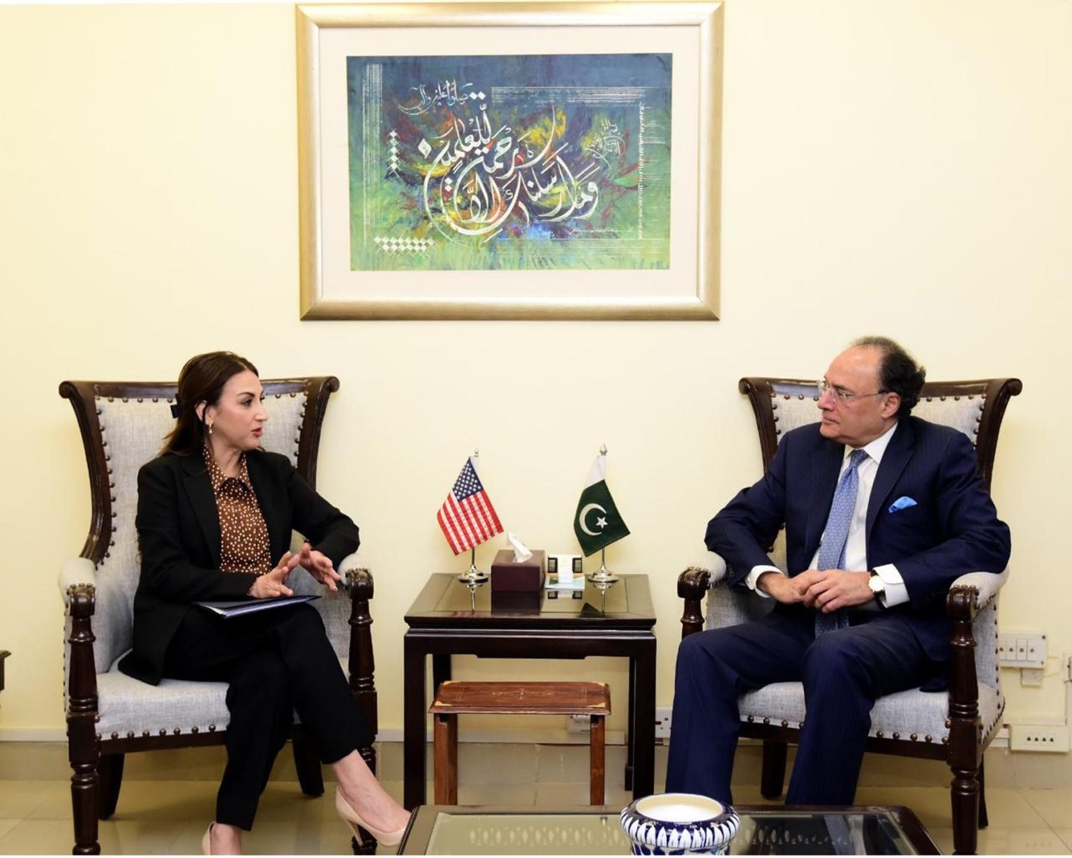 Finance Minister Aurangzeb, US Chargé d’Affaires discuss economic cooperation