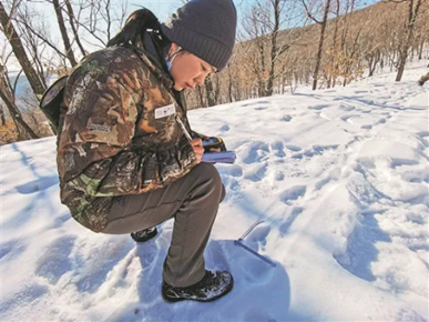 Female rangers brave snowy forests to protect tigers, leopards