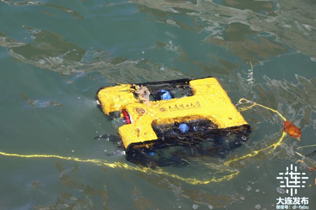 Underwater robots boost marine resource development in Dalian