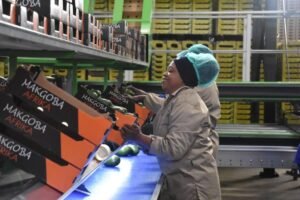 China's zero-tariff policy widely applauded in Africa