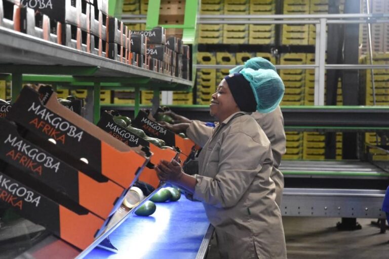 China's zero-tariff policy widely applauded in Africa China's zero-tariff policy widely applauded in Africa