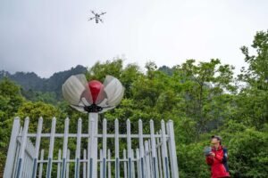 China's ecological protection red line system strengthens ecosystem protection