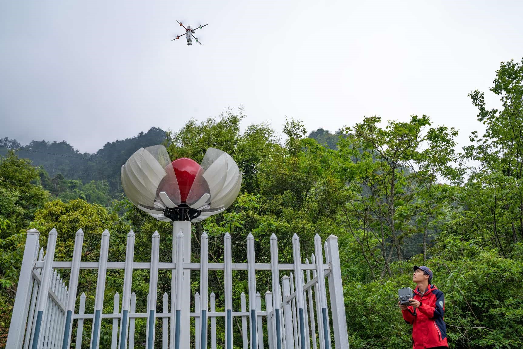 China's ecological protection red line system strengthens ecosystem protection