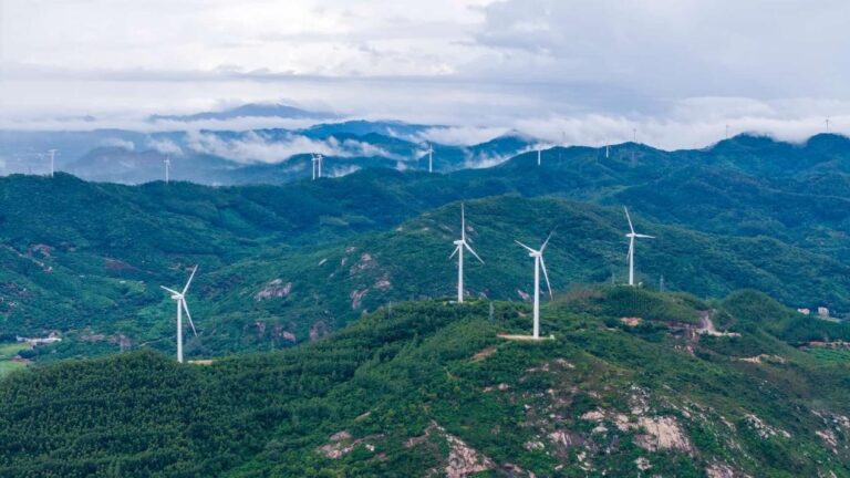 China's Yangjiang emerges as global wind power export hub