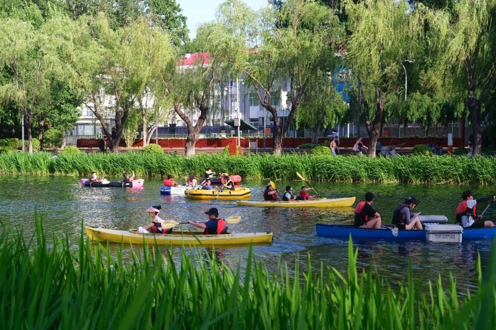 How pruning a heart-shaped tree reflects people-centered urban governance in China