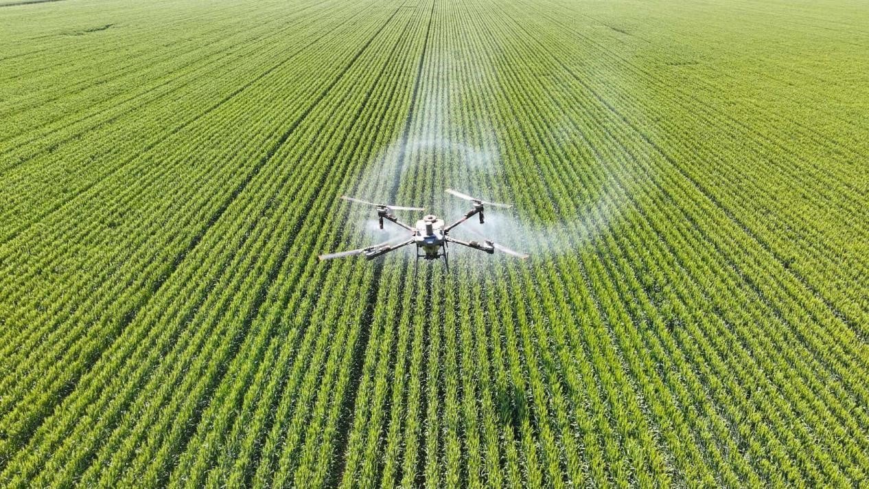 Technology transforms farming across China’s fields