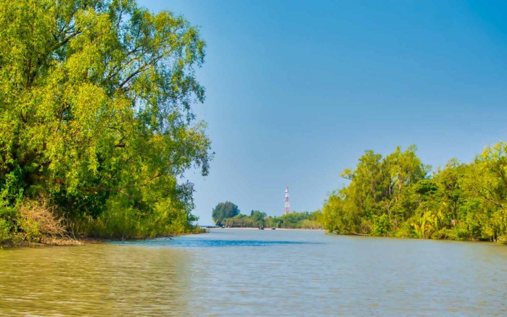 India’s IWT suspension could threaten Pakistan’s riverine forests, experts warn