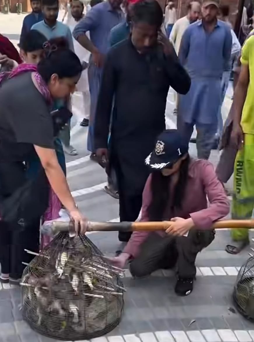 Hundreds of sparrows rescued from illegal trade in Rawalpindi awareness drive