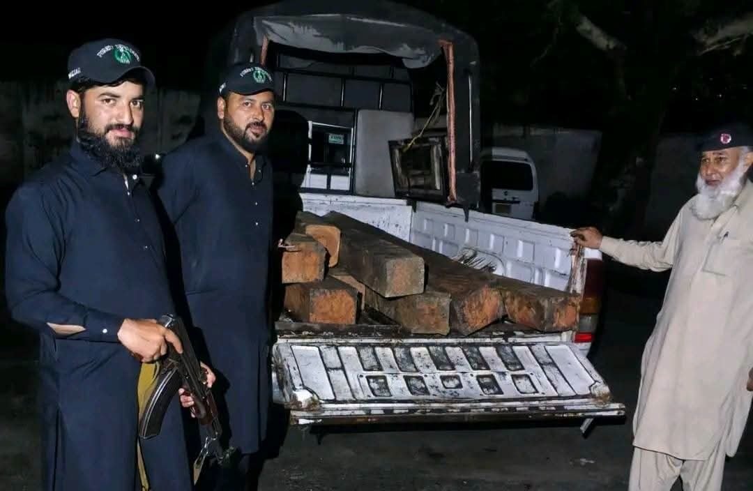 KP Forest Department Seizes Illegal Timber in Anti-Smuggling Operation