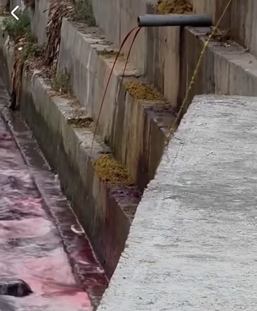 Slaughterhouse Waste Dumped into Swat River Sparks Environmental Concerns