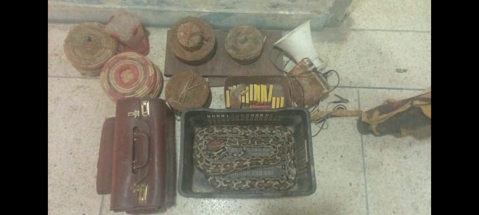 Man Fined Rs300,000 for Illegal Possession of Protected Snakes in Islamabad