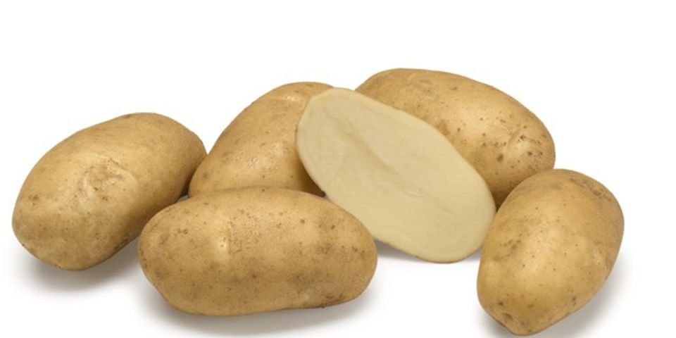 Pakistan develops four potato varieties for fries, chips industry