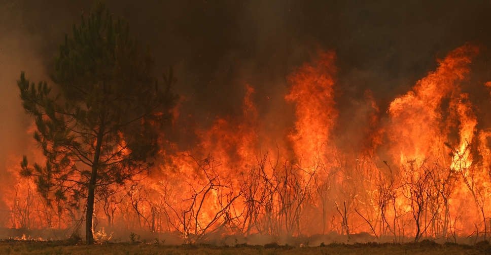 PM Shehbaz Expresses Solidarity with France Over Devastating Wildfires