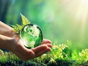 Govt plans three new projects under Rs122bn Green Pakistan Programme