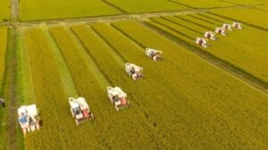 Punjab rolls out Rs60bn agro parks to boost exports