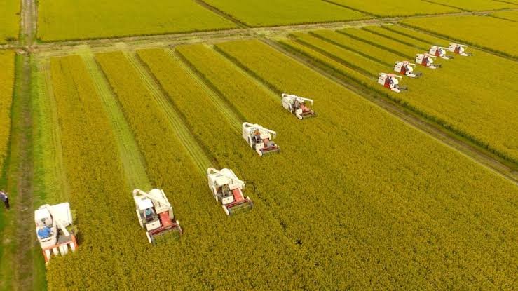 Punjab rolls out Rs60bn agro parks to boost exports Punjab rolls out Rs60bn agro parks to boost exports