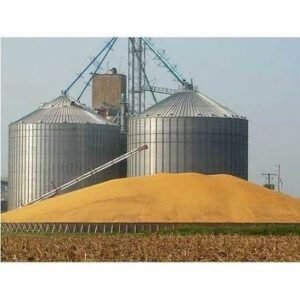 Punjab moves to expand wheat storage under Rs20bn plan