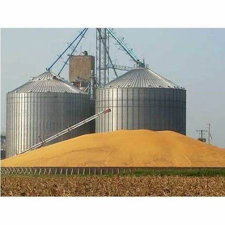 Punjab moves to expand wheat storage under Rs20bn plan