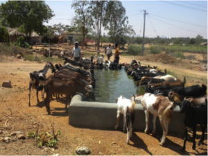 Sindh and KP rainwater schemes support 67,000 people and 98,000 livestock