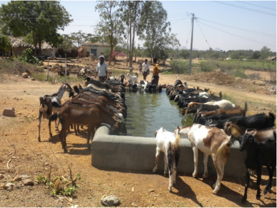 Sindh and KP rainwater schemes support 67,000 people and 98,000 livestock Sindh and KP rainwater schemes support 67,000 people and 98,000 livestock