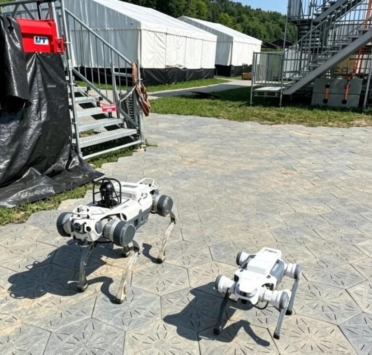 Chinese robots expand global reach through diverse applications Chinese robots expand global reach through diverse applications