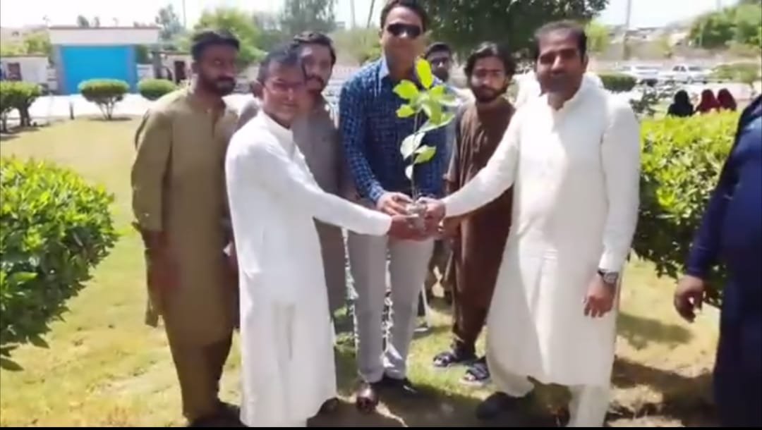 Green Sindh Foundation Launches Plantation Drive at Larkana University Campus