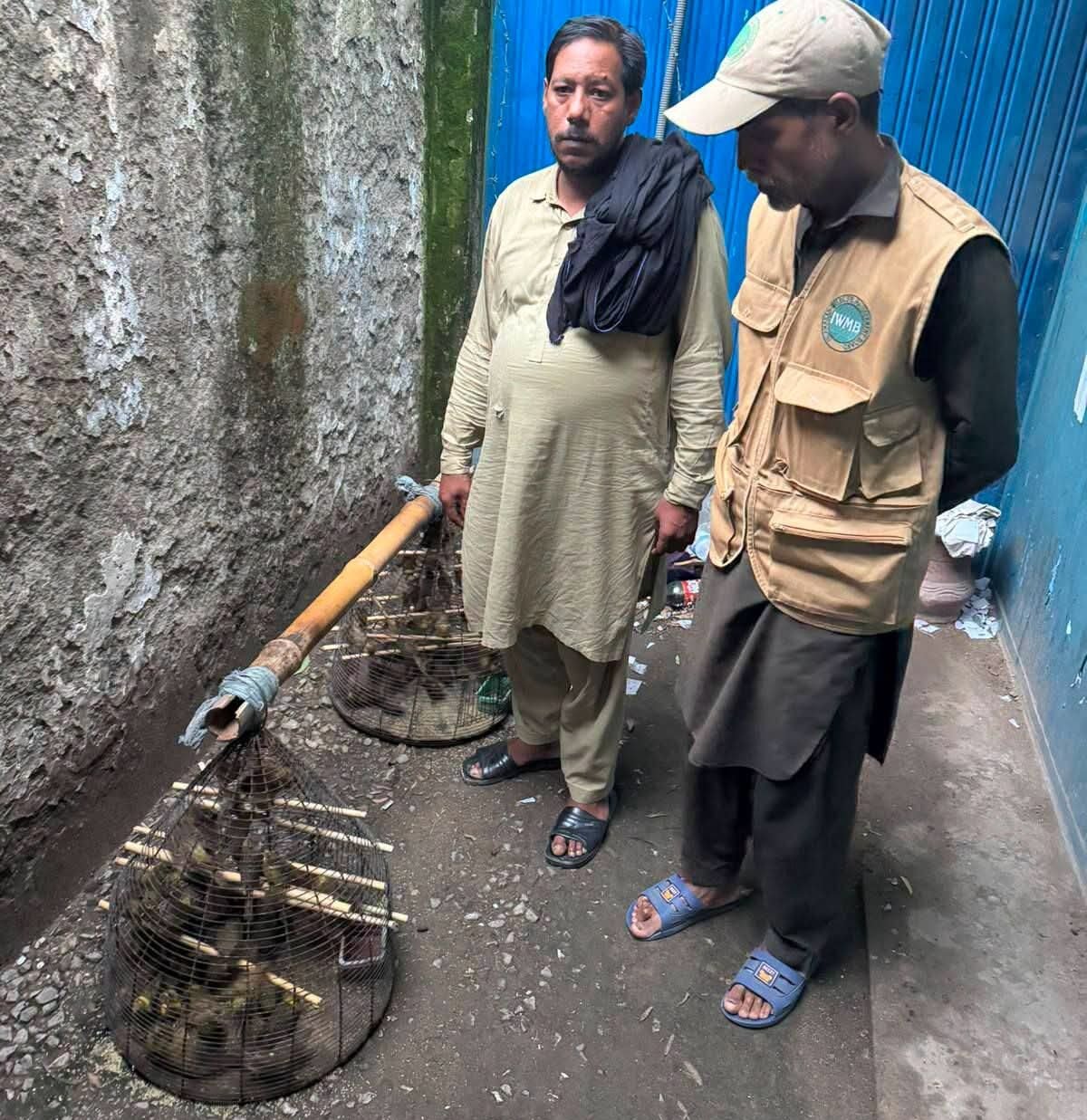 Illegal Bird Captor Fined After Wildlife Rescue Operation in Islamabad