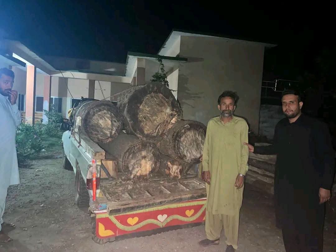 Illegal Kail Timber Seized During Late-Night Forest Department Operation in Chakdara