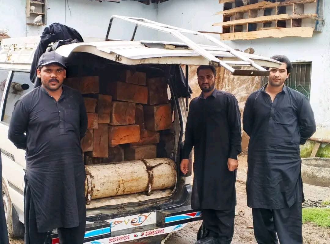 Illegal Timber Seized on Hazara Motorway as Forest Department Intensifies Crackdown