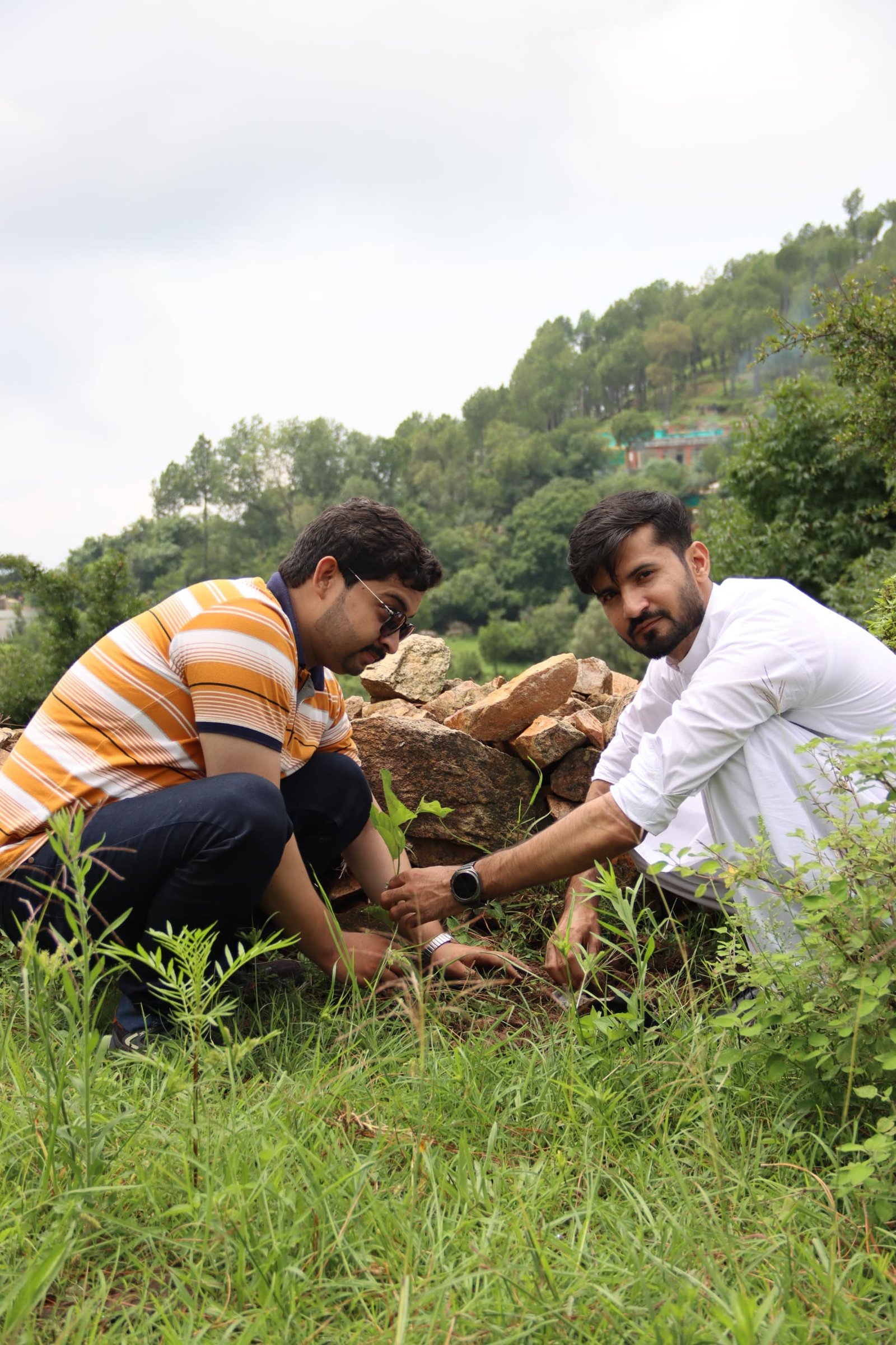Nature News Network Leads Tree Plantation Drive to Promote Climate Action in Abbottabad